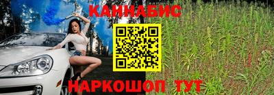 шишки Кингисепп