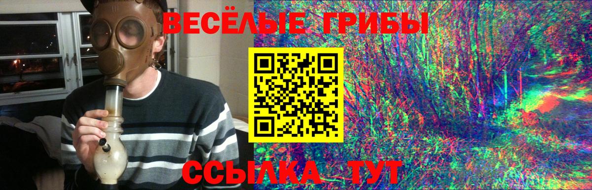Галлюциногенные грибы Psilocybine cubensis  Вход с VPN  Краснодар 